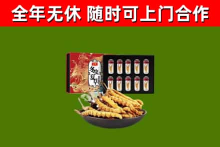 洛宁烟酒回收冬虫夏草礼盒.jpg